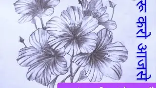How to draw beautiful flowers / kaise nikalen phulonla drawing/ सुन्दर फुलोंका चित्र निकाल