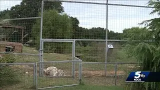 Everything but the animals must go at G.W. Exotic Animal Park