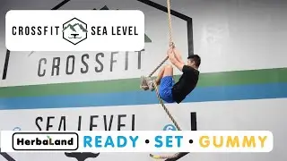15 Minute At Home Workout 💪 - Cross Fit Sea Level & Herbaland Gummies