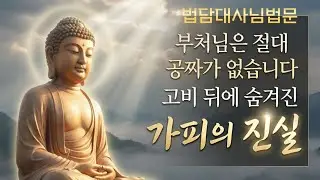 부처님은 절대 공짜가 없습니다:고비 뒤에 숨겨진 가피의 진실-법담대사님법문