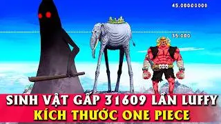 Xếp hạng k&iacute;ch thước 44 Sinh Vật từ B&eacute; đến Đại Khổng Lồ - One Piece