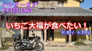 ハンターカブ CT125　いちご大福が食べたい！　ツーリング　水野屋　有田さんちのお肉やさん　極楽湯　宮崎バイク　カブ散歩　【モトブログ】