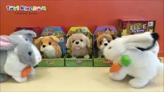 Toys Kingdom Battery Operated Animal Plush