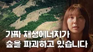보조금으로 숲을 파괴해서 태우는데, 