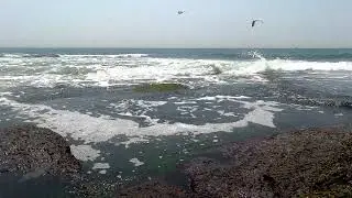 Sleep to the Beautiful Atlantic Ocean