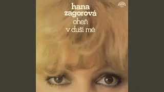 Líto, je mi líto (Vendo tutto)