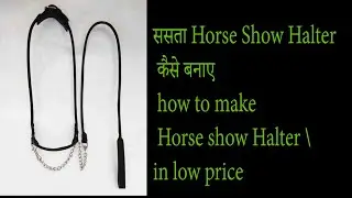 सस्ता Horse Show Halter कैसे बनाए  how to make Horse show Halter in low price