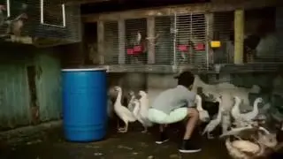 Despacito  Ft. JB &nbsp;& Luis Fonsi&nbsp; &  rapper Daddy Yankee &nbsp;.