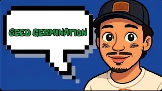 SEED GERMINATION PROCESS! (Sorry for the wait)