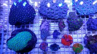 The Sea Farm visite virtuelle