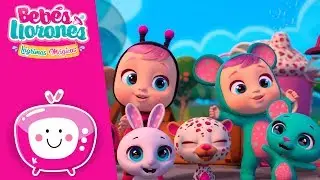 El Gran espect&aacute;culo  🎬  BEB&Eacute;S LLORONES 💦 L&Aacute;GRIMAS M&Aacute;GICAS 💕