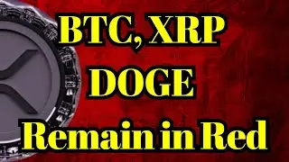 XRP Fan | Fed's Key Inflation Measure Released; BTC, XRP, DOGE Remain in Red