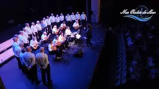 HABANERAS DE CÁDIZ T COLÓN