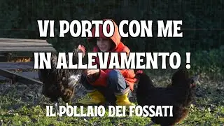 Una mattinata in allevamento. Pastoncino per galline. Allevamento avicoli ornamentali #farmlife