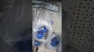 Pond section walkthrough