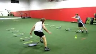 Todd Norman's 5 Hurdle Agility Series