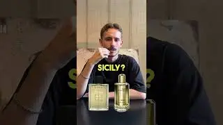 Das Duell der Sommer-D&uuml;fte 🥊 #d&uuml;fte #parfum