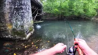 Epic Wild Brown Trout Fishing Adventure! | Fly and Spinner Fishing