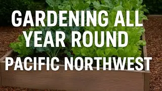 WorldUp Gardening All Year Round in the Pacific  2025 10 17