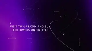 Buy Followers On Twitter