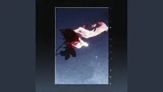 HABIBI (feat. Alternative_Villain)