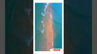 Erosion and changing of beach geologies happens through natural processes || #shorts