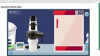 virtual ffyb uba ar mod scorm player php a=56¤torg=Laboratorio virtual de Cultivo Celular + OR