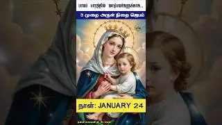 January 24 | 🙏 3 Hail Mary Novena | பாவ பாரத்தில் வாடுவோருக்காக| #DailyPrayer #CatholicPrayer#Shorts