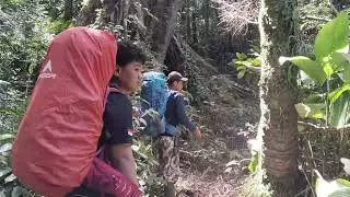 GUNUNG PASAMAN #1 - Pasaman Barat, Sumatera Barat 🇮🇩