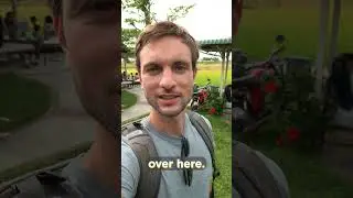 Coconut Coffee in Hoi An's Rice Fields (Vietnam)