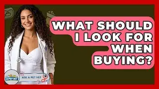 What Should I Look For When Buying? - Ask A Pet Vet