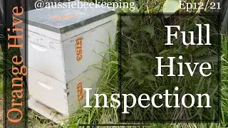 Aussie Bee Keeping - Full Inspection and Checking the orange hive for AFB 22nd Sep 2021