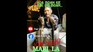 Misi Memburu Sembilang di Sulami Dengan Ikan berpangkat Sarjan (8) | #shorts