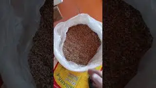 Свойства солодки, польза для табака. Запах табака при брожении.