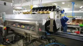 Technology and Ontario Apples