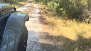 onX Off-road- Tiger Bay State Forest WMA Trail