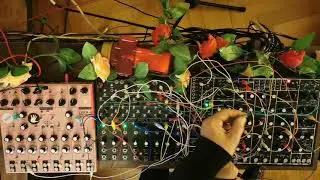 Soma Lab Jam Session : Lyra-8, Pulsar 23 and Ornament-8