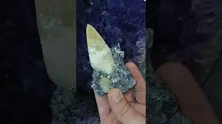 Nigh Perfect Calcite Crystal on Galena From Missouri #crystals #gems #mining #nature #science