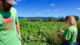 Wardensville Garden Market - Wardensville, WV