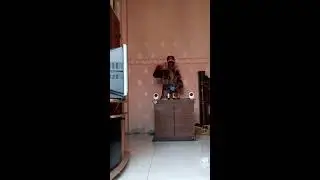 Alone 
