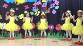 ordek dansı----La Danse des Canards---vak vak dansı