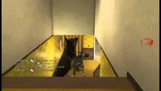 dog kills guy though wall