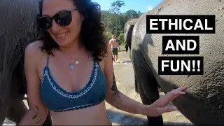 Full Day Elephant Experience | Chiang Mai, Thailand