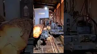 #wood Sawmill Operator