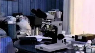 Testing Buildings for Asbestos