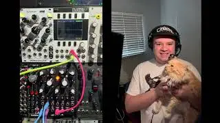 Rambling About: Mutable Instruments Blades with tafony