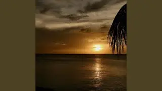 Bajos de Haina
