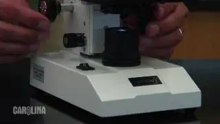 Wolfe&reg; CFL Educational Microscopes