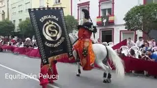 Equitación Peluca Villena Escuadra Sarracenos