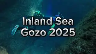 Paralyzed goes Scuba Diving-Inland Sea Gozo 2025